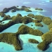 islands_seventy_v_0125_pal2335.jpg